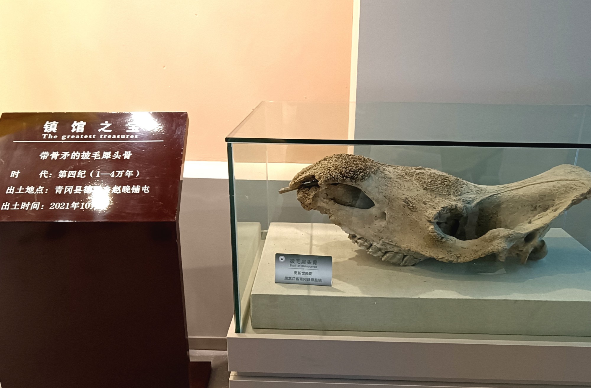 黑龙江省青冈县第四纪古生物化石博物馆新馆开馆