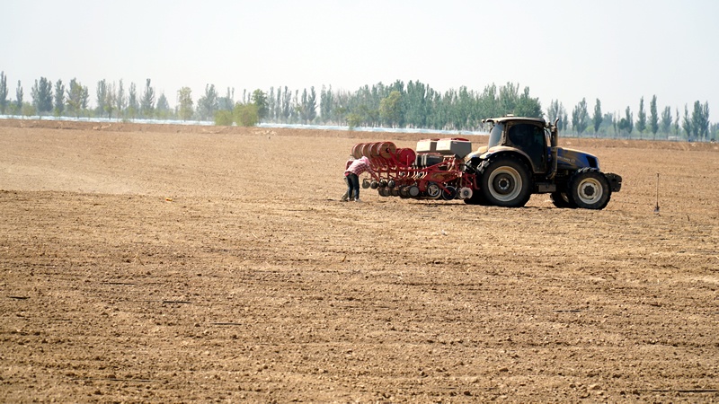 石嘴山高标准农田建设项目有序推进
