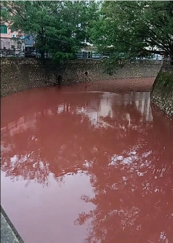 惠州环保部门紧急处置“水体变红”