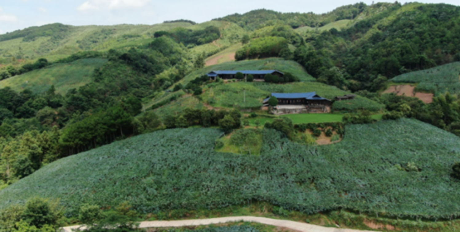 2023年,中方县桐木镇大松坡村,楠木铺村,半界村,丰坡村四个村列入湖南