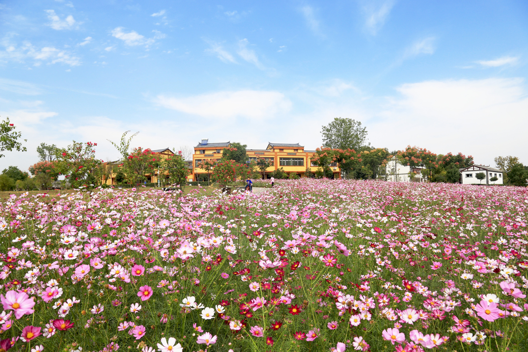 木兰花乡景区民宿一亩田园,一方原舍,就是记忆中的乡村老家