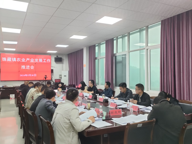 贵州瓮安珠藏镇:"一二三"工作法绘就乡村振兴好"丰"景