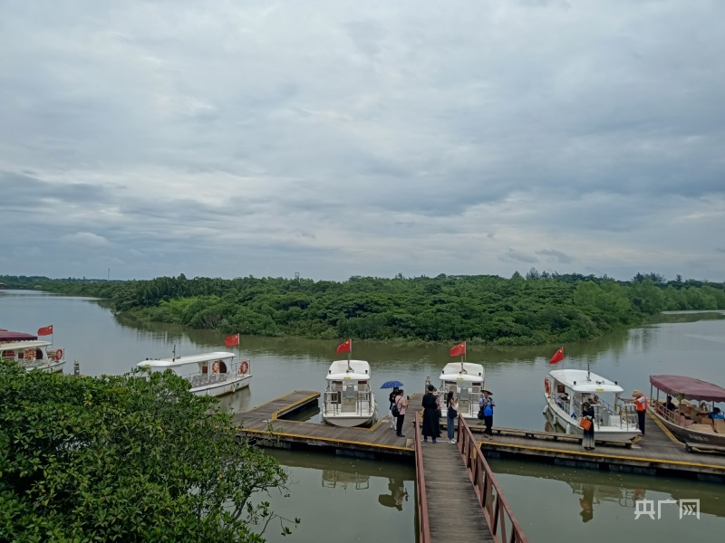【看见美丽中国】海口市美兰区充分发挥自身优势  实现生态环境保护和