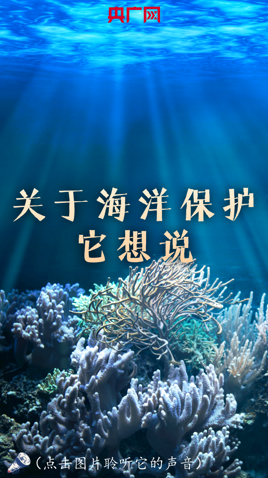 关于海洋的海报图片