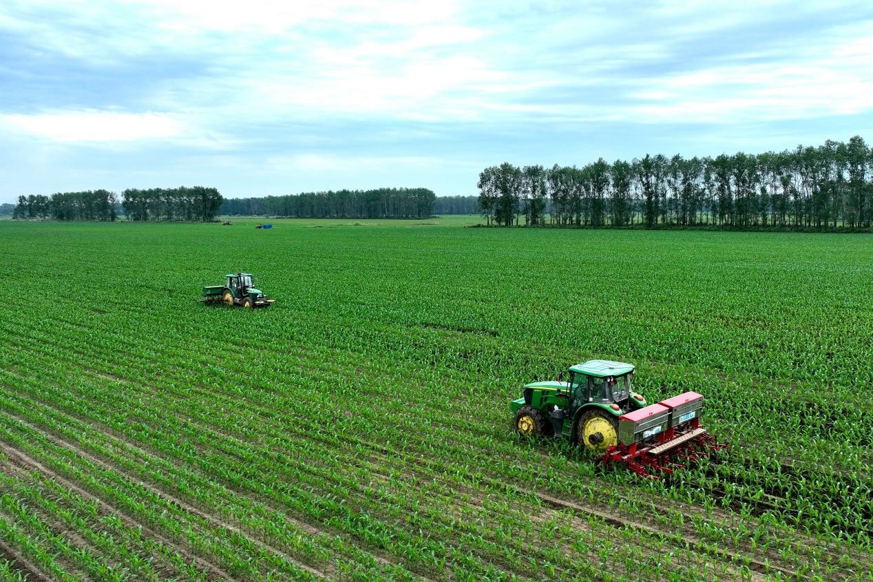 共青农场：全面开展玉米中耕追肥作业