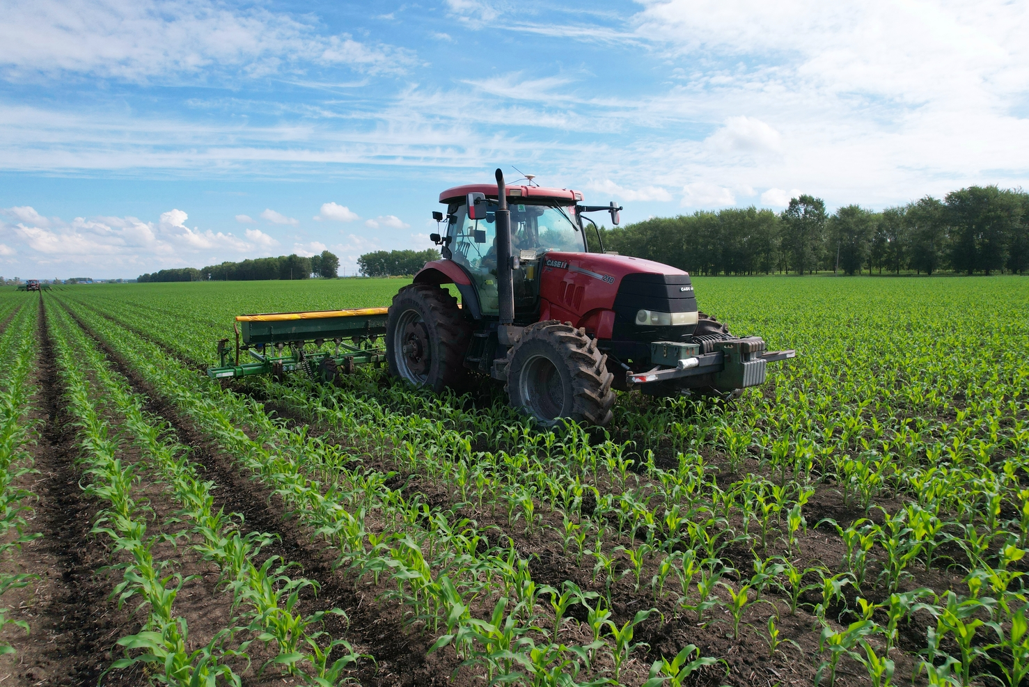 二龙山农场：高标准开展玉米中耕追肥