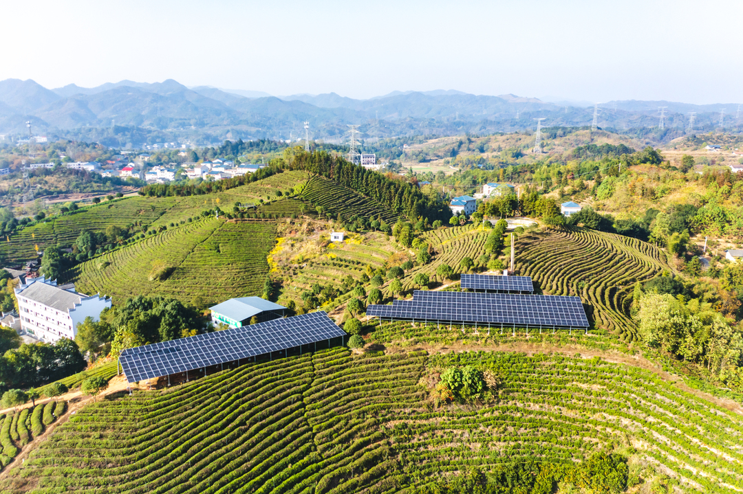 首页>湖南频道>分类新闻>基层>中方县桐木镇桐木村移民"光伏 "电站