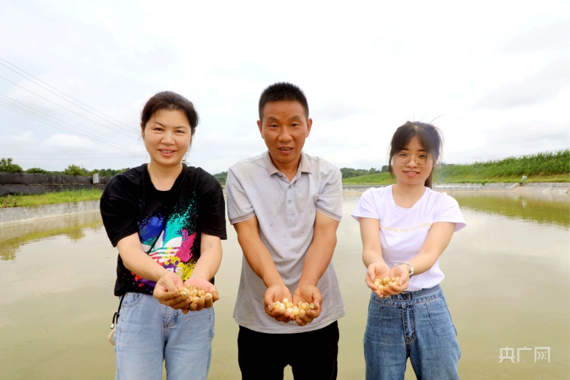 江西广昌：莲鳖“联姻”走出特色致富路