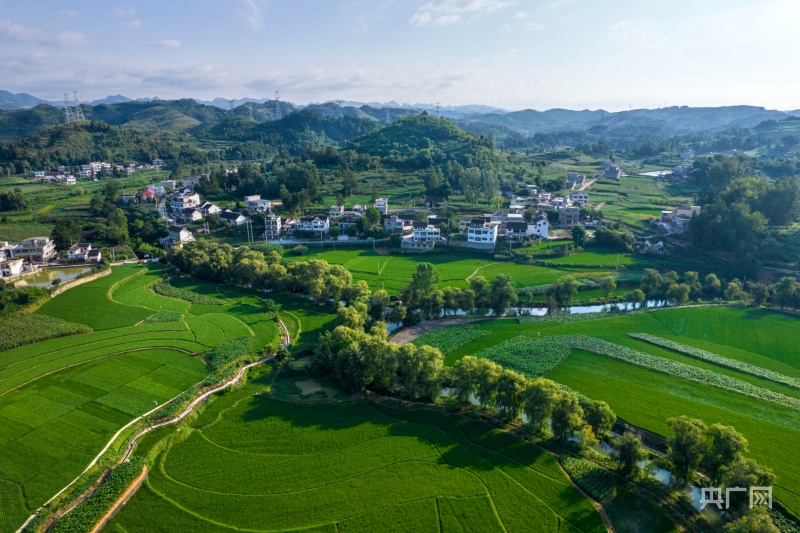 贵州省贵阳市夏日田园图片