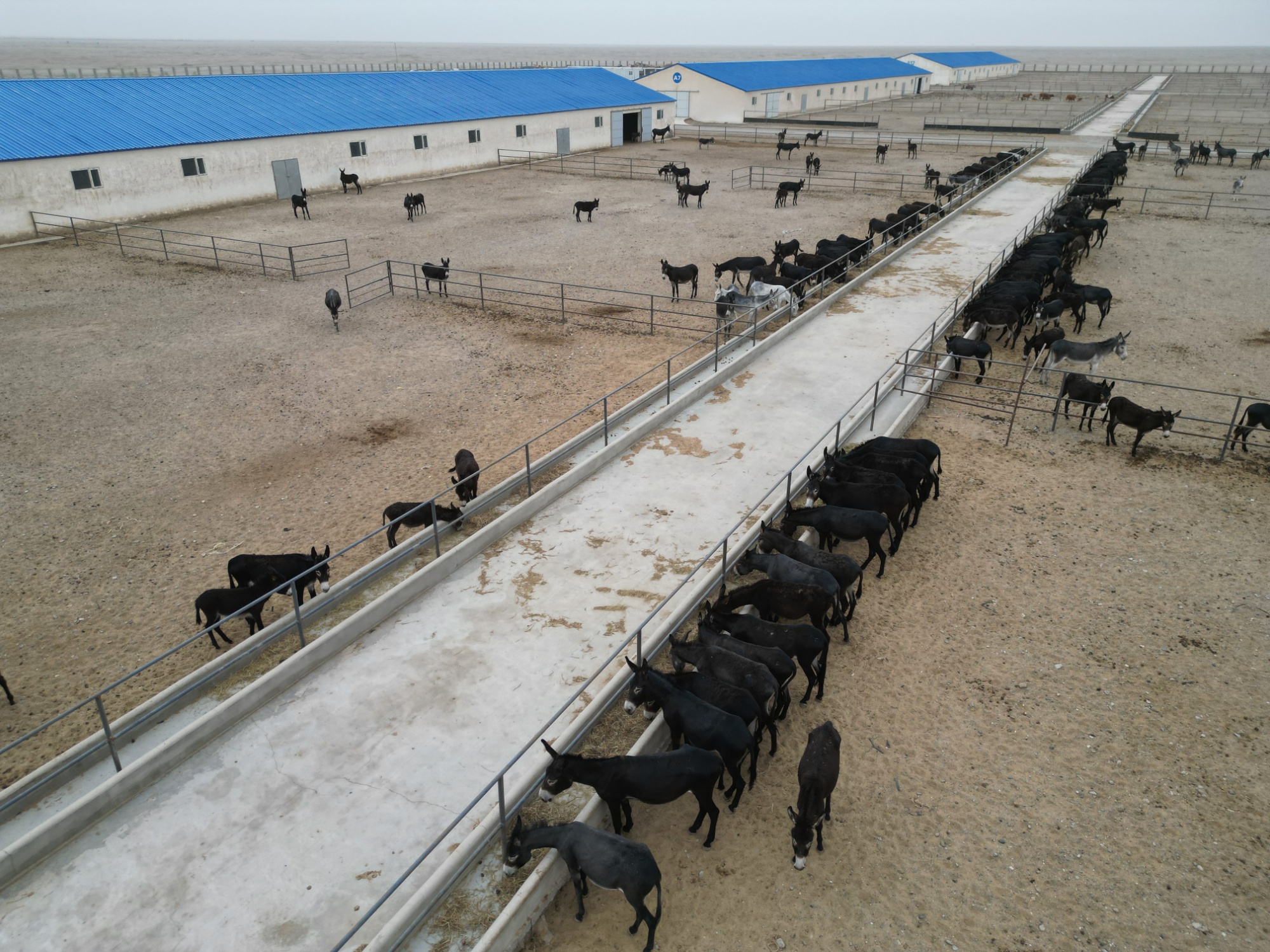 2024-2030年中国畜牧养殖业行业研究与行宝博体育- 宝博体育官网- 宝博体育APP下载 BaoBoSports业竞争对手分析报告