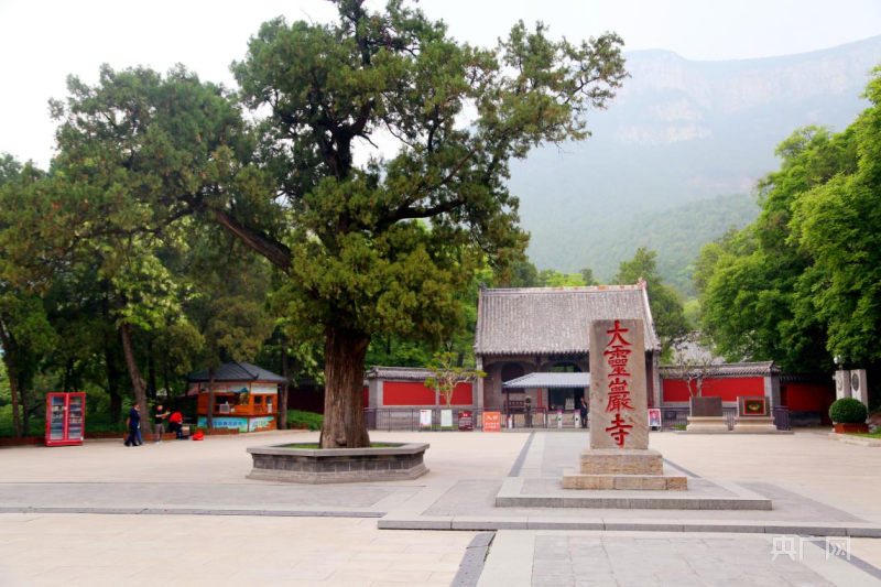 泰山与灵岩寺举行联票合作签约仪式