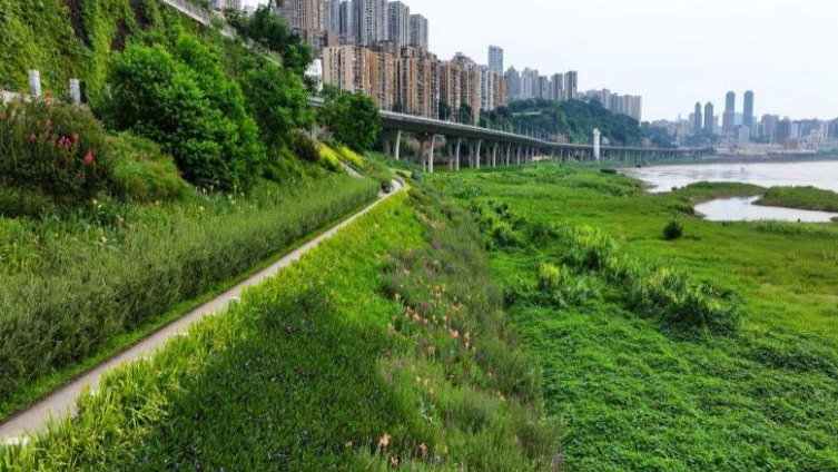 pg电子网址大美渝中：绿水青山间 铸就生态城市(图6)