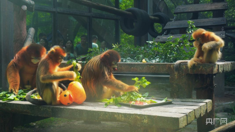 981cb2767d285172188770555015156111.png?auth=242400c4c744f053153d7d4ef50a5b99