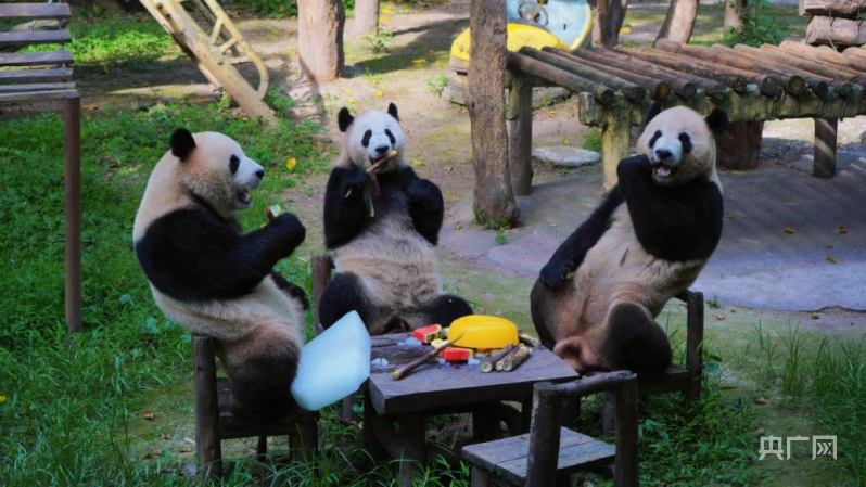 e2986df1bf905172188760926290429311.png?auth=009f129f9bb118154f44dec996dca9a2