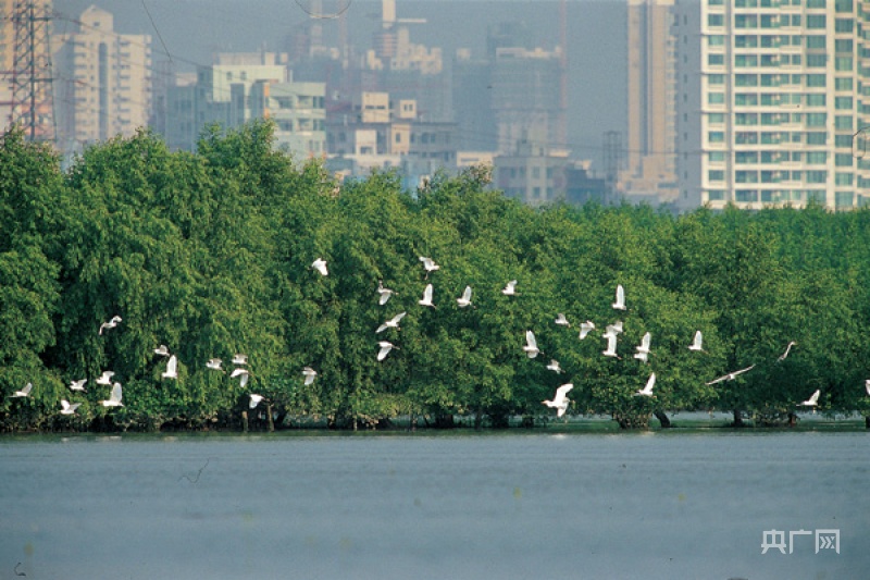 2024年广东省湿地保护宣传周启动