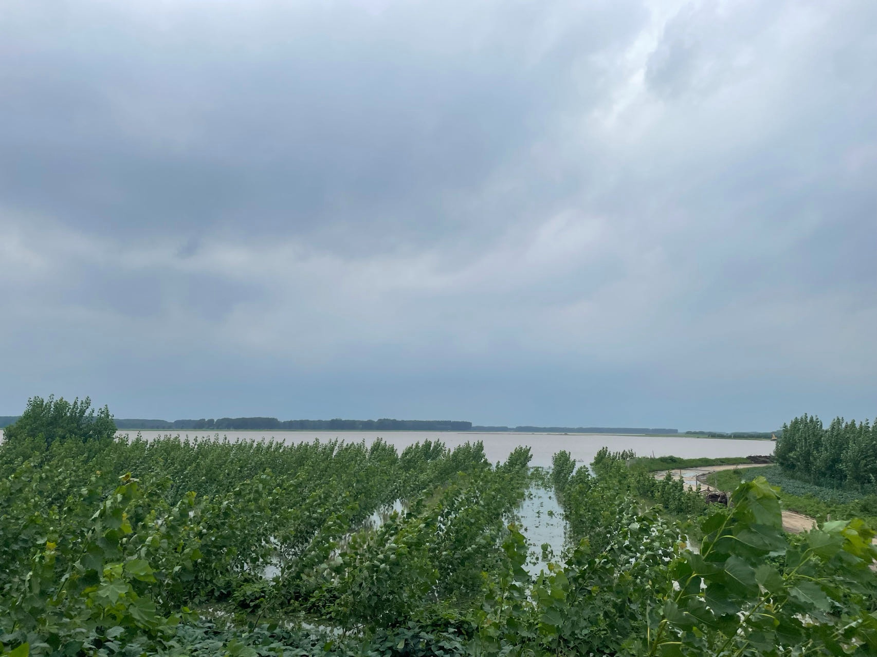 最强暴雨后探访辽中：四河大堤均无恙 全区抓紧排涝