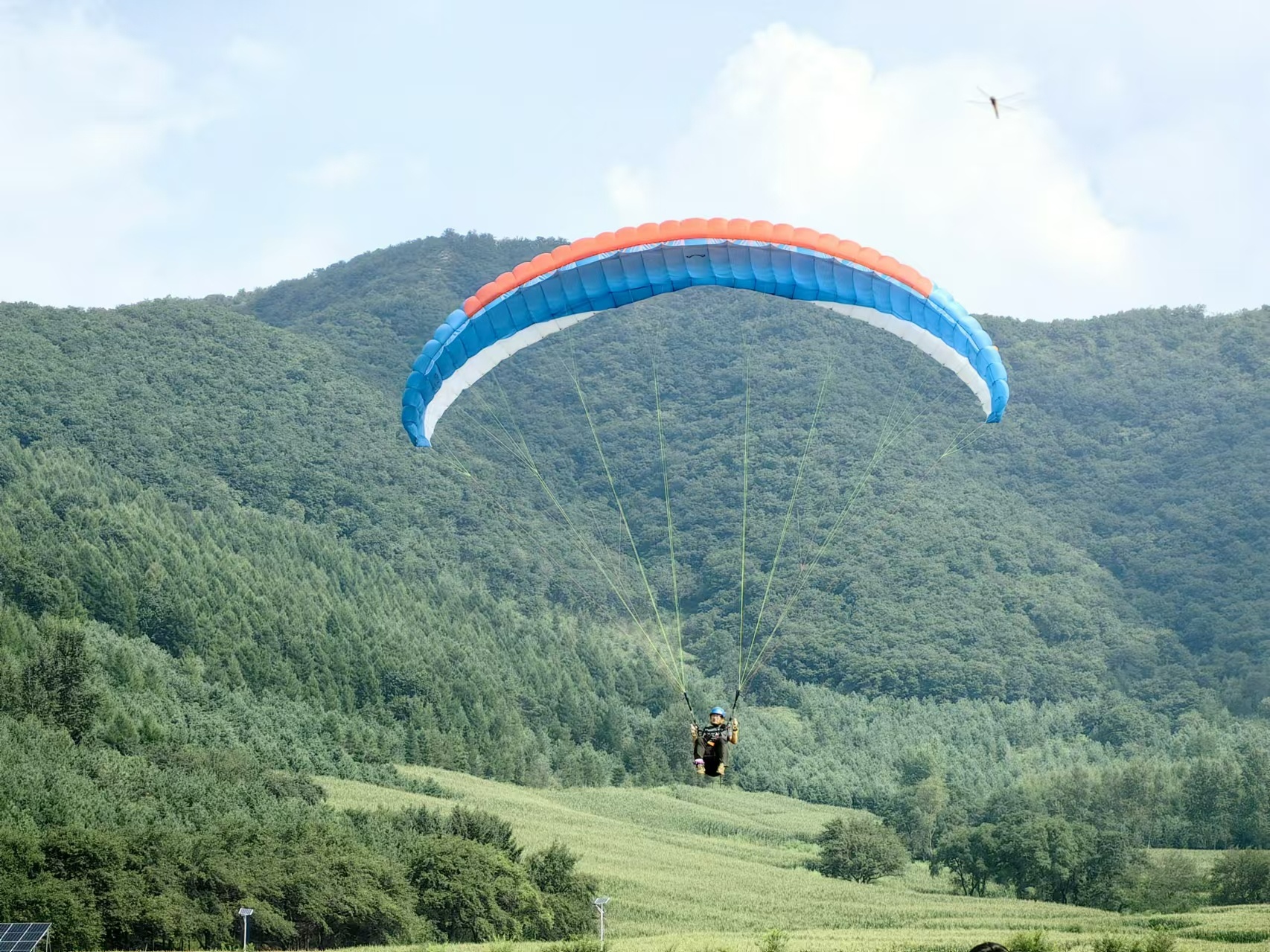 双阳区区长汤大鹏图片