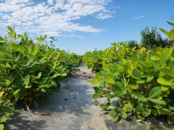 23d01bdda4db8172327661320563203510.png?auth=1e6178fa7156ecf7609af732a08fc74f