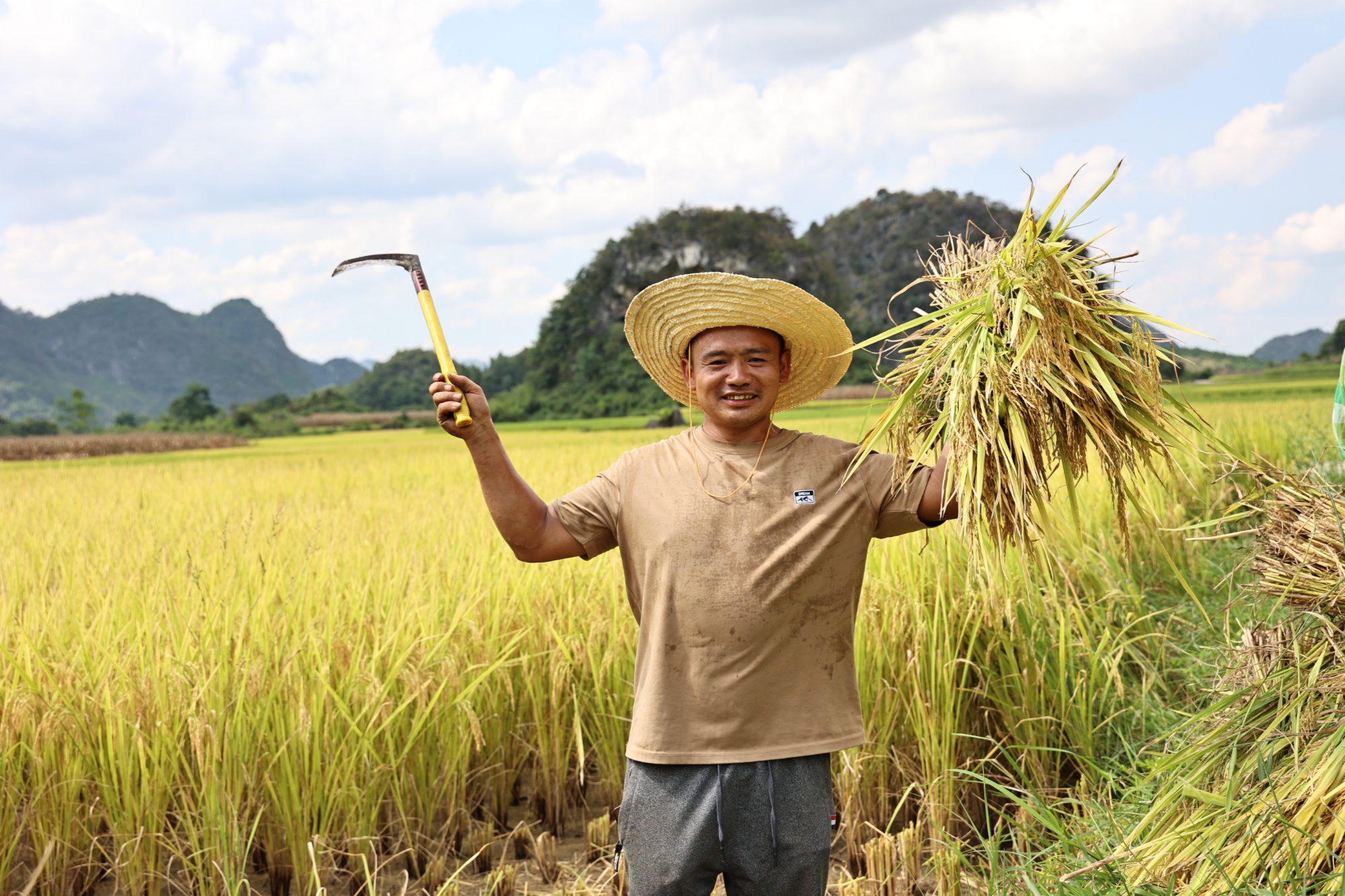贵州平塘:早稻丰收 "粮"辰美景迎丰年