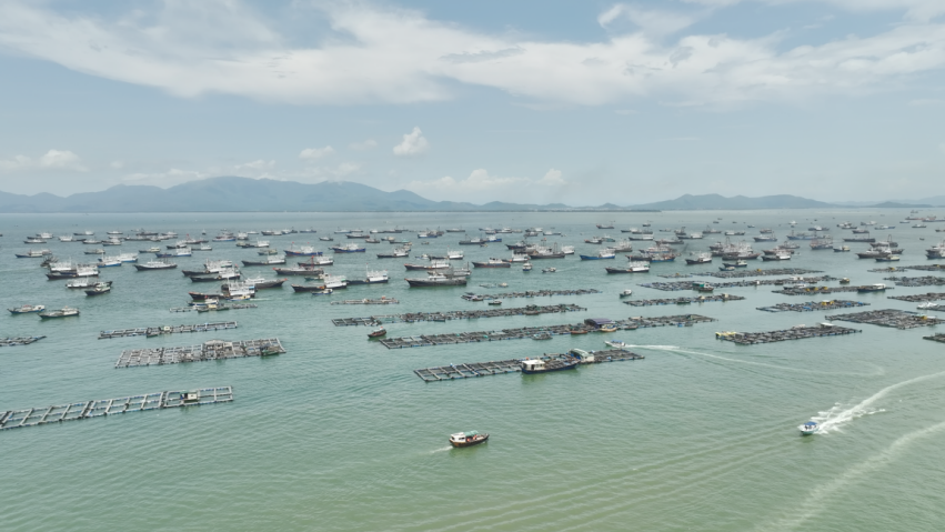 广东中行：向“海”起程正当时 金融动力助“开渔”