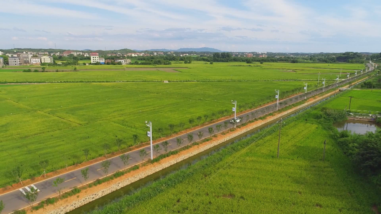 衡阳县全力推进高标准农田建设