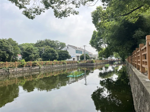 无锡甘露社区：生态河道绘就乡村振兴风景线