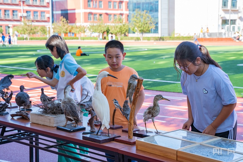 汉石桥湿地日主题宣传活动走进中关村一小顺义学校