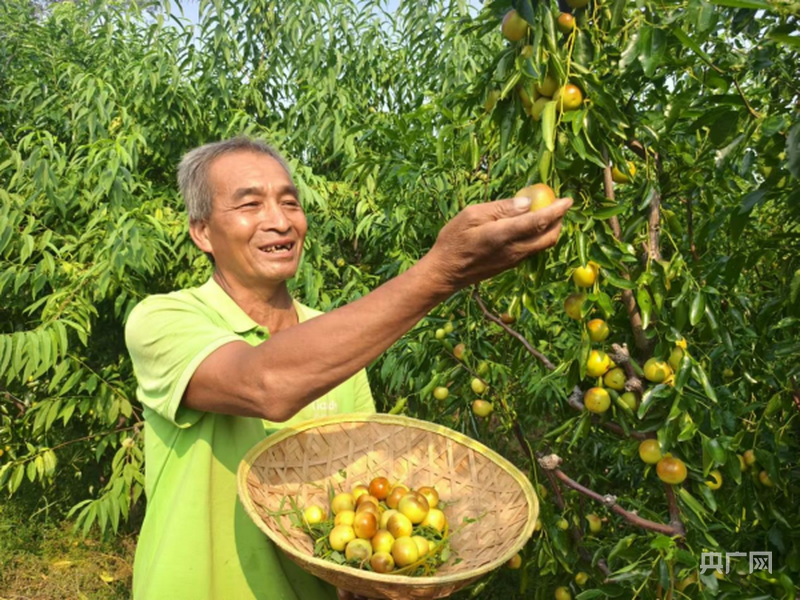 焦作市博爱县柏山镇：打造特色文旅品牌