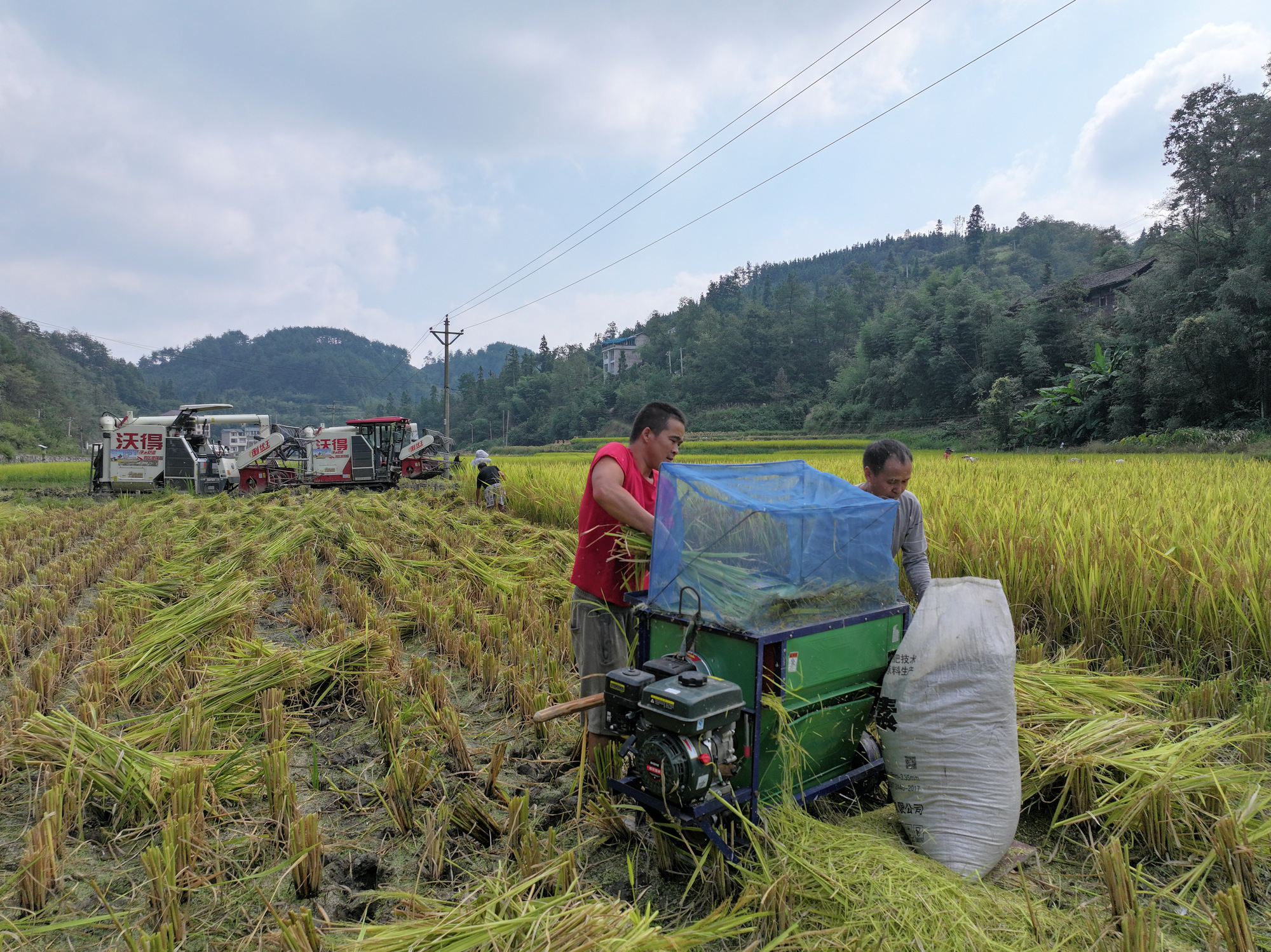 加工水稻 b0cf61c01dbeb172693092240111003110.jpg?auth=43a656b69912c8a48203c20657b631da