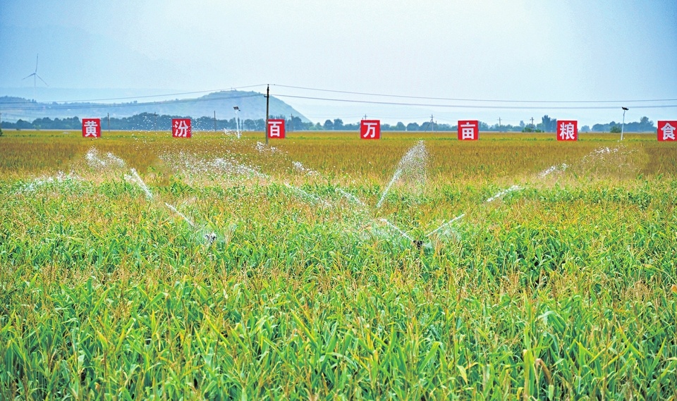 山西田野“丰”景美如画