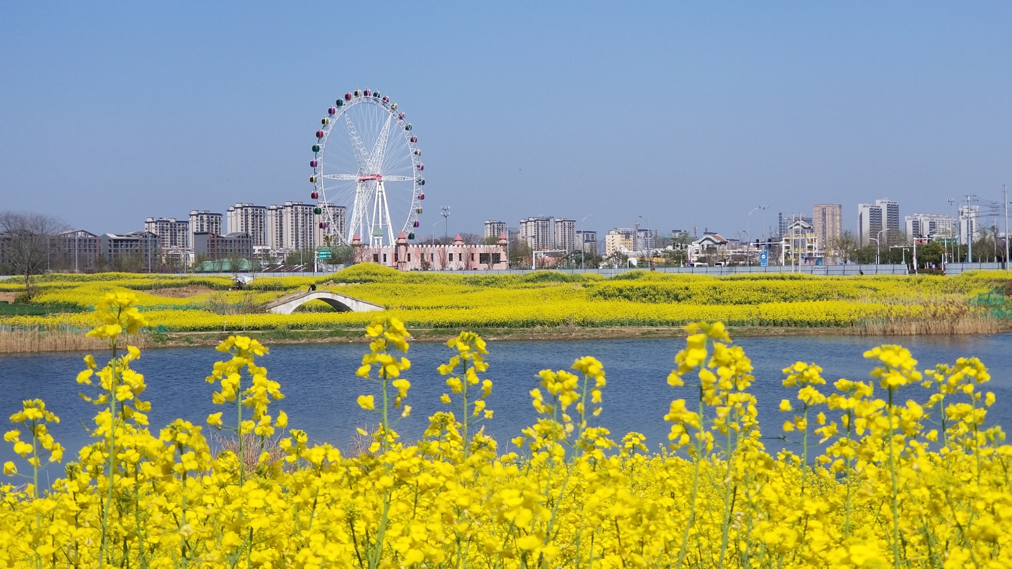 临泉：向新 向上 向远方