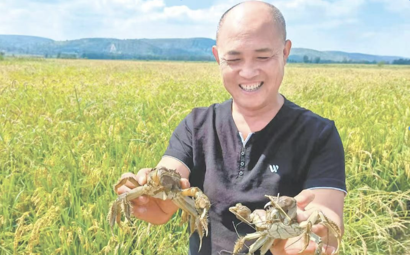 稻花香里说“蟹”逅