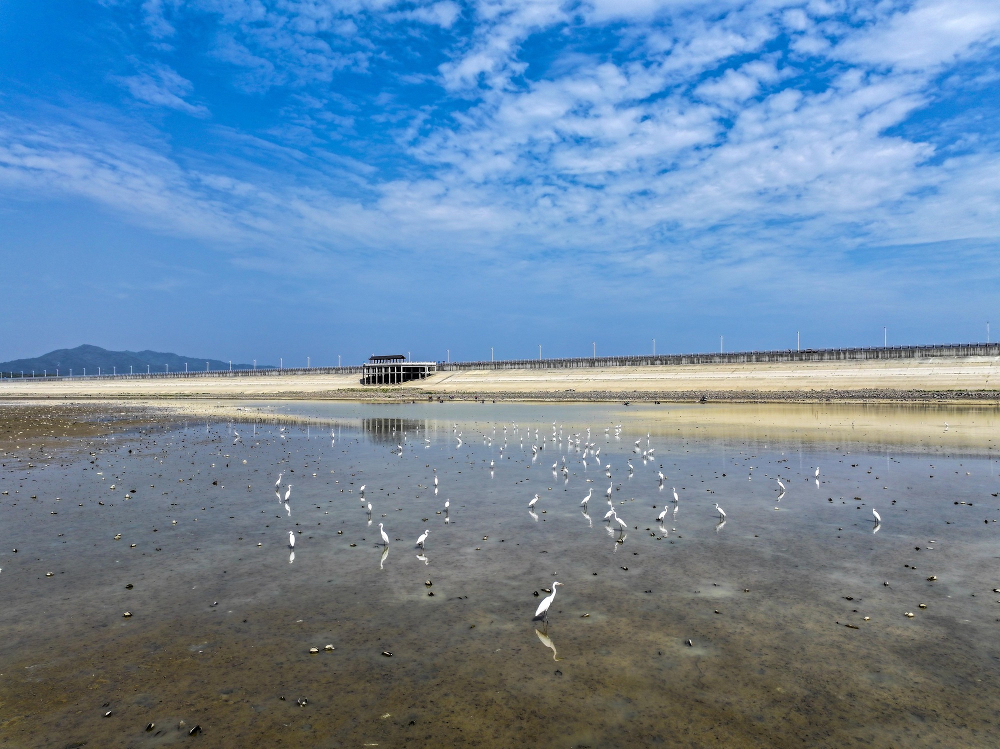 越冬候鸟飞抵鄱阳湖湖口水域_央广网