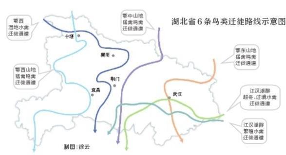 湖北6条路线保护百万候鸟越冬