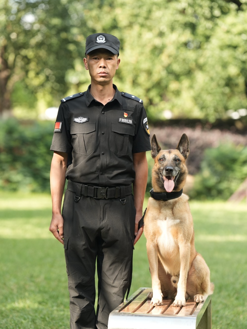 大型警犬图片 警察图片