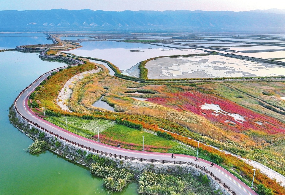 山西省运城市盐湖区鸭子池湿地公园生态环境大大改善