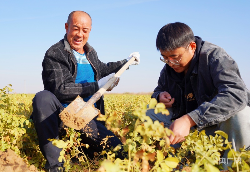 吉木萨尔：以“药”为引  致富有“方”