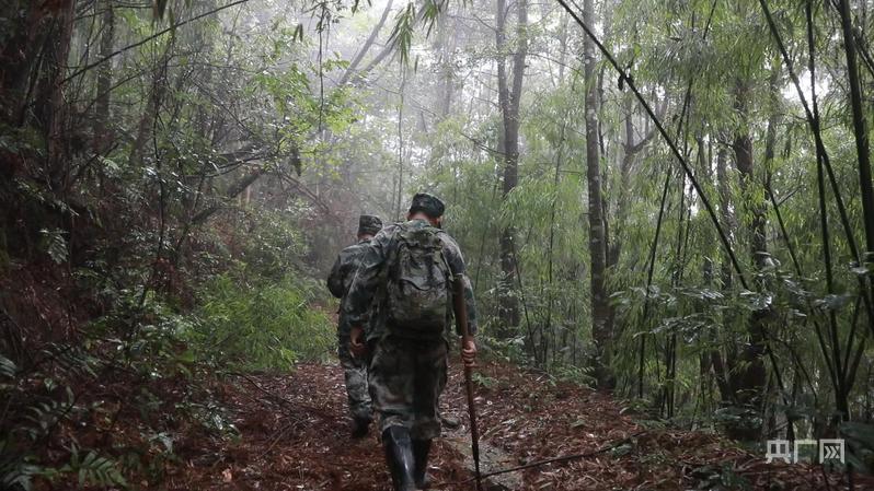 江华千余名生态护林员用汗水守护青山一片绿