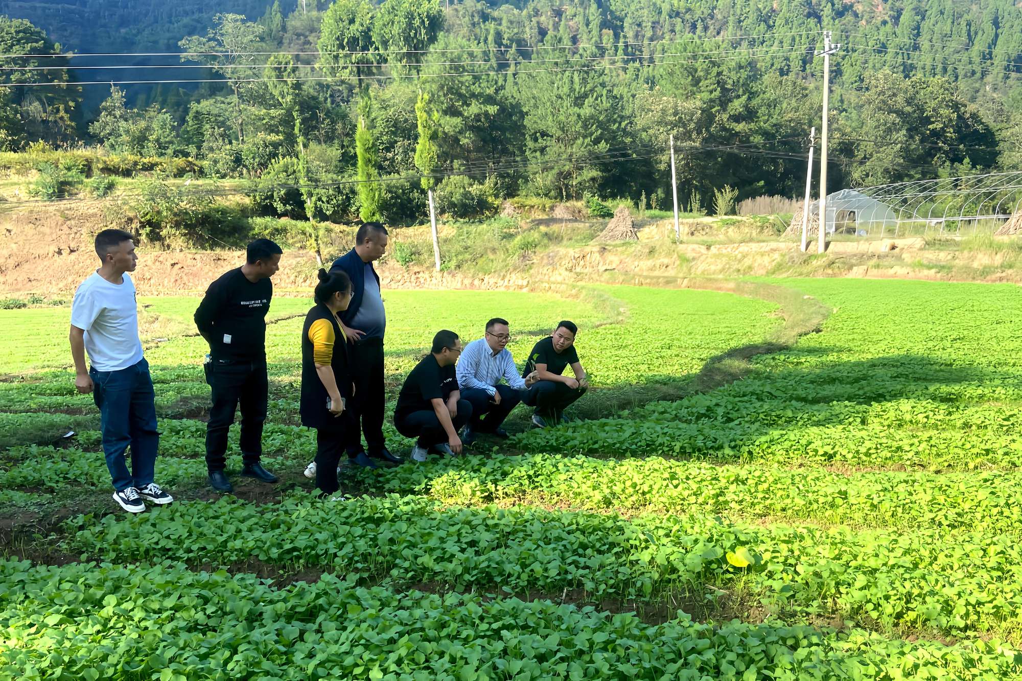 习水：“四在农家”打造和美乡村新样板