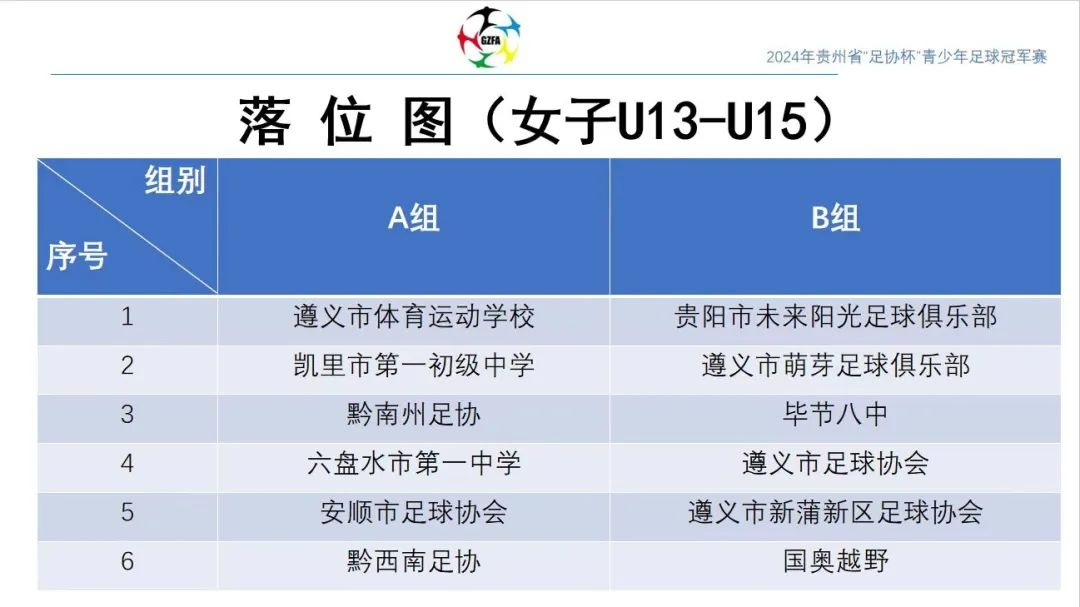 2024年贵州省“足协杯”青少年足球冠军赛（U13-U15）开赛B体育(图1)