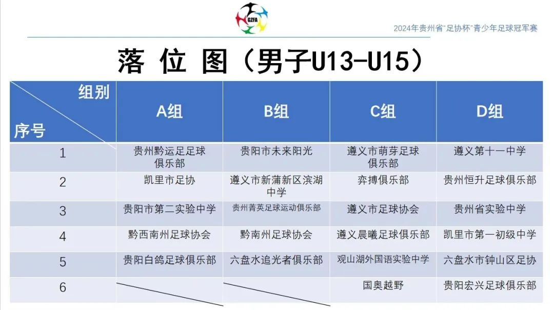 2024年贵州省“足协杯”青少年足球冠军赛（U13-U15）开赛B体育(图2)