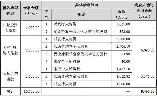 胜科纳米IPO：实控人举债增持公司股份，二十年押上全部身家，办出“芯片全科医院”