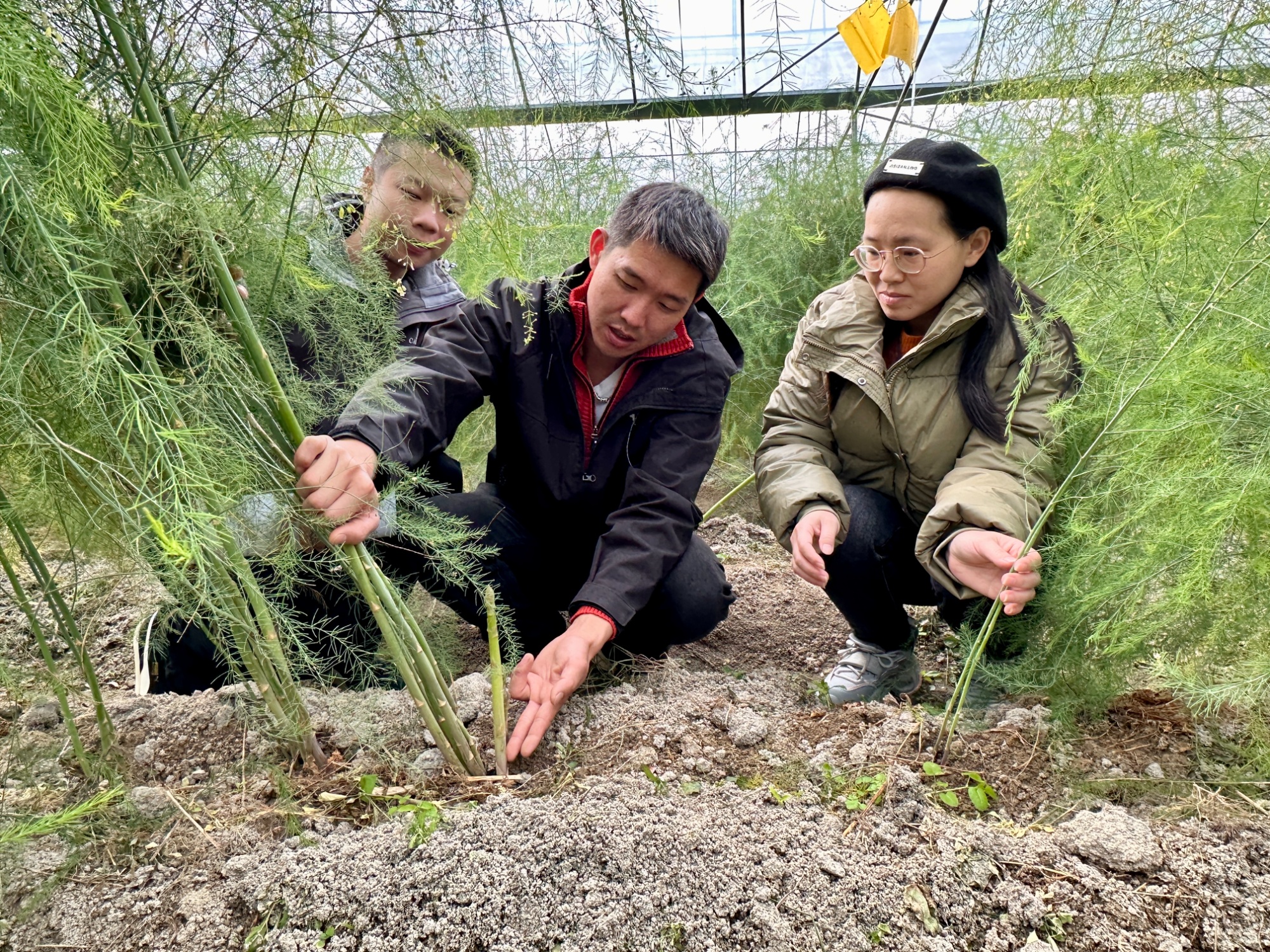 兴国：精细化气象服务进基地 助力蔬菜发展保供应