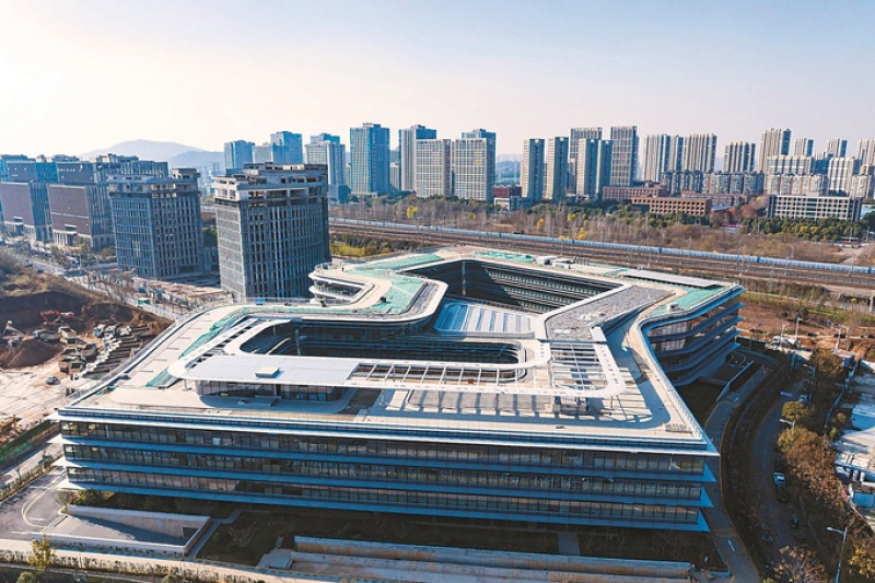 Analysis of the Strong Performance of Wizmed (688580) and Judgment on Its Sustainability