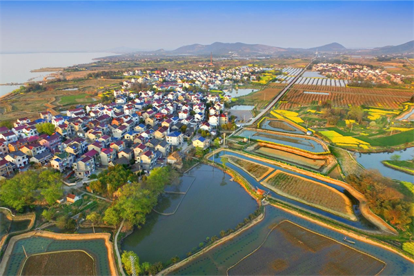 江苏高淳：蟹旅融合谱新篇文旅共绘振兴景