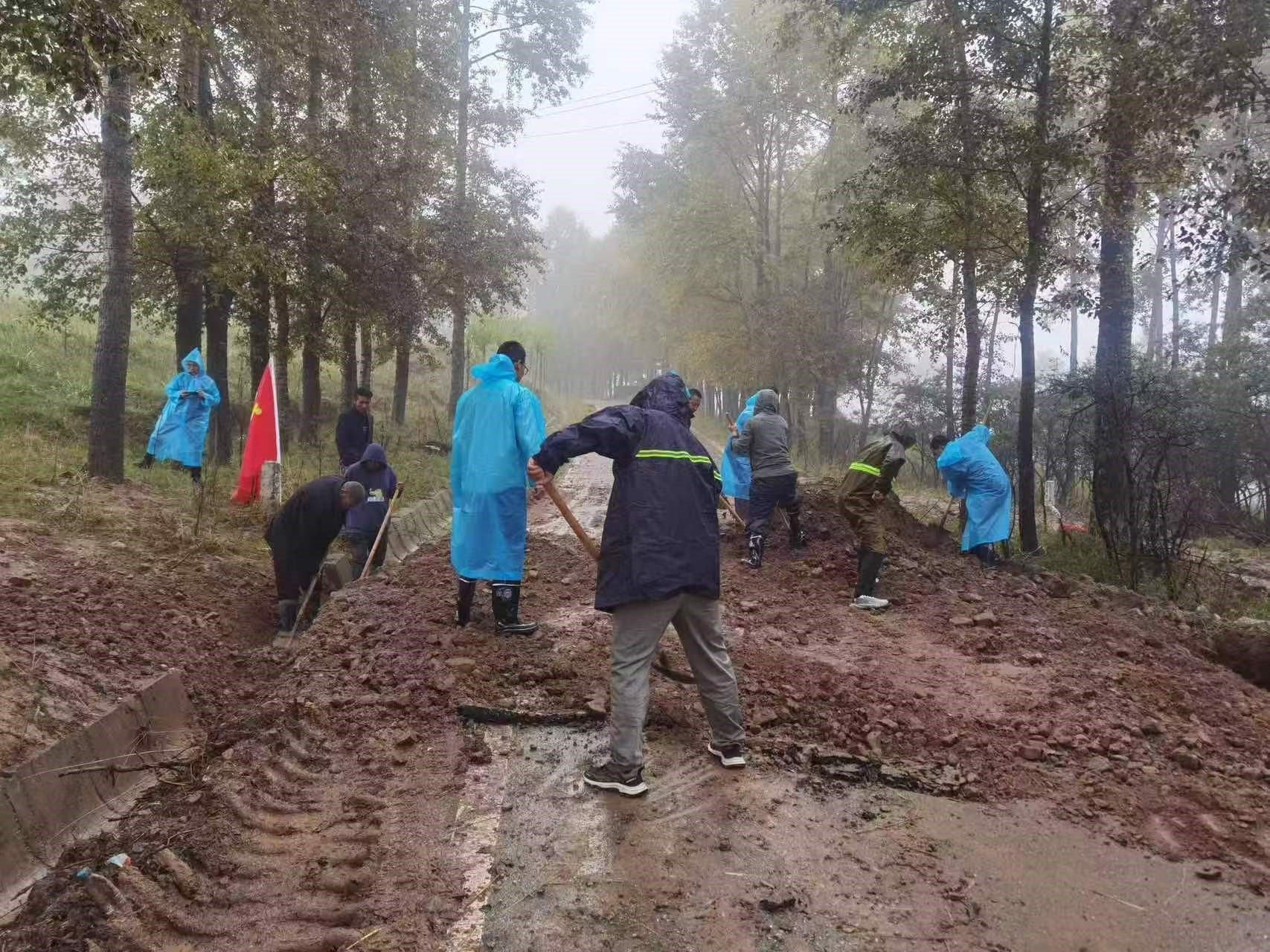 民生样本年度记录丨高原上的蝴蝶兰