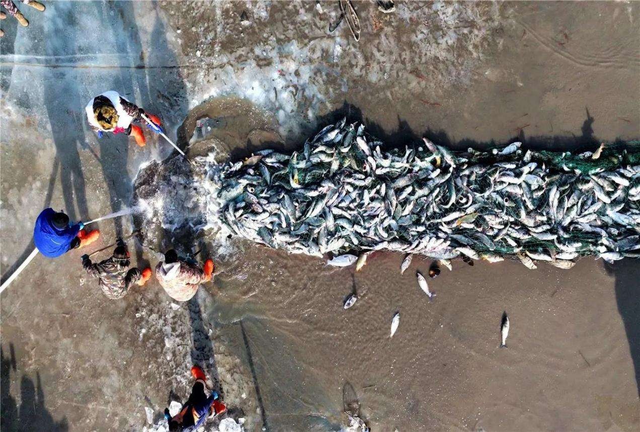 内蒙古通辽市：小寒时节天气冷 鱼跃人欢冬捕忙_央广网