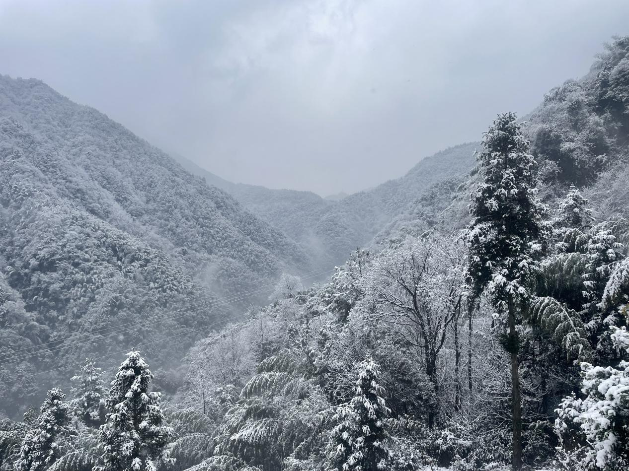 赏渠江源冬韵赴一场冰雪之约