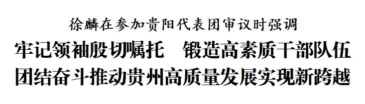 徐麟参加贵阳代表团审议