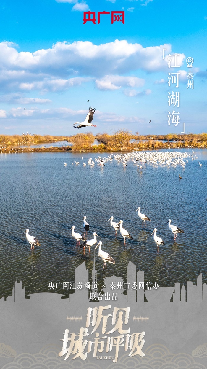 听见·城市呼吸江河湖海:泰州市绘就生态图景推动幸福水城照进现实